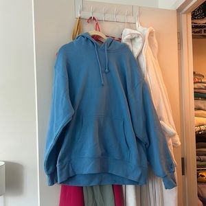 Aritzia Cozy Boyfriend Hoodie NWOT